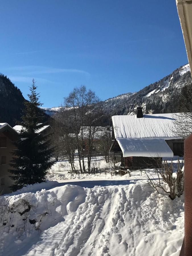 La Montagne « Un Coin D'Oxygene » Apartment Châtel Exterior foto